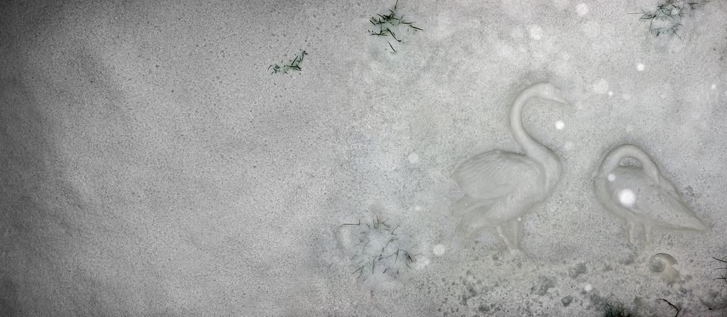 Kate Bush - 50 Words For Snow - Album Artwork