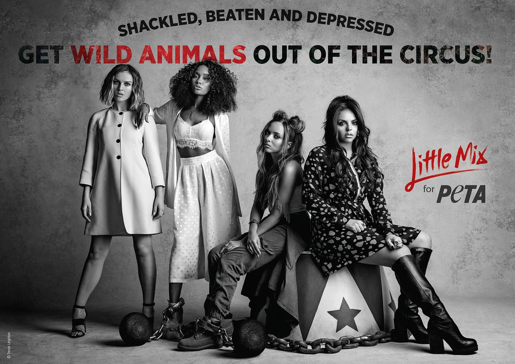 Little Mix for PETA