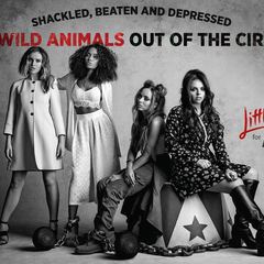 Little Mix for PETA